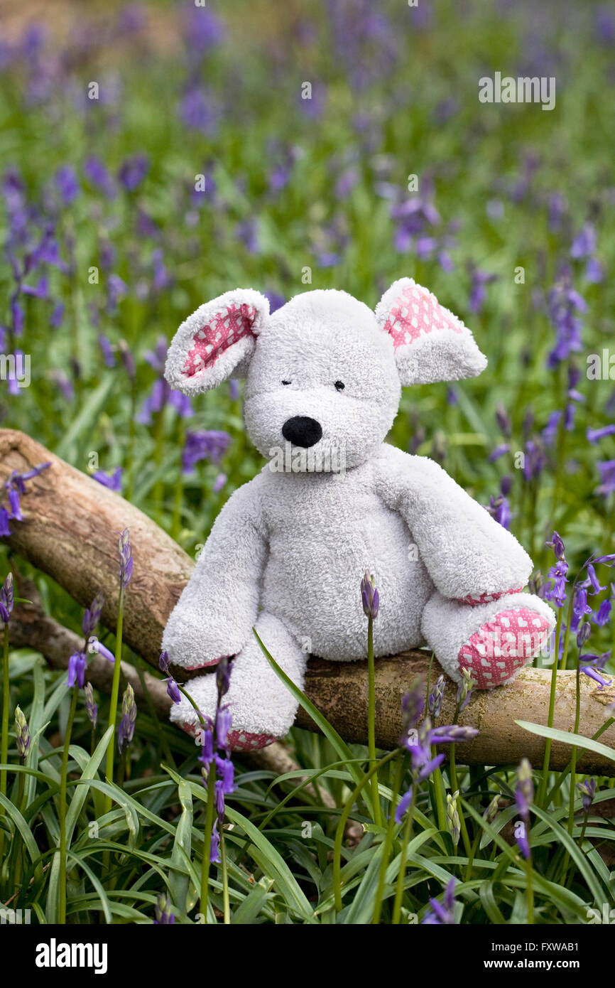 Child's soft toy mouse sitting on a log amongst the bluebells. Stock Photo