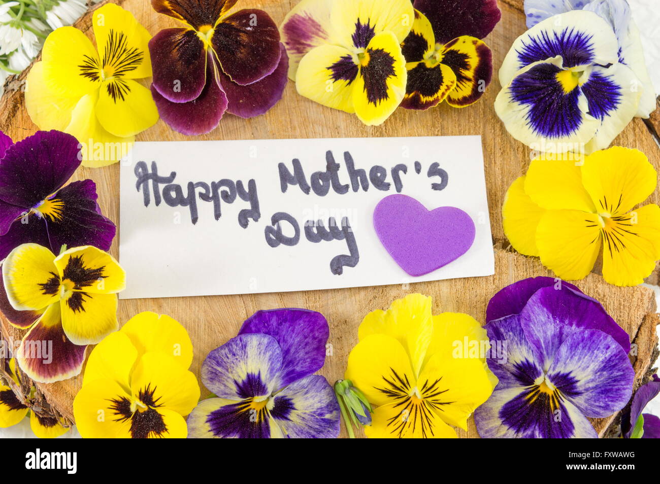 Happy mothers day card with violet and yellow flowers Stock Photo