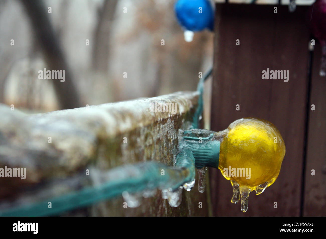 Christmas Light, Ice, Oklahoma Winter, Yellow, Frozen, Cold Stock Photo