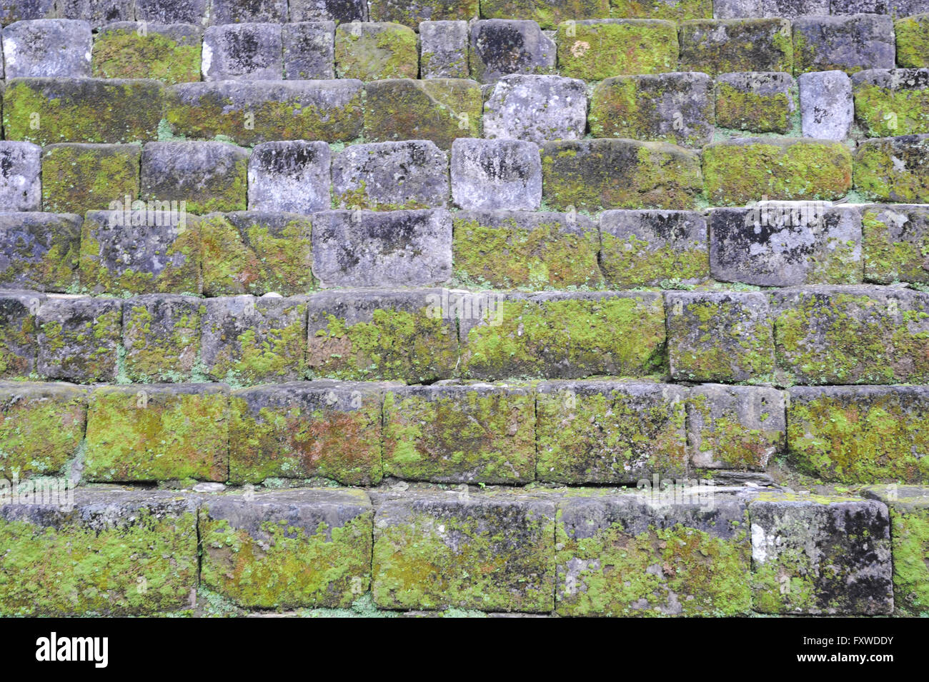 Wall with grass for background and texture Stock Photo - Alamy