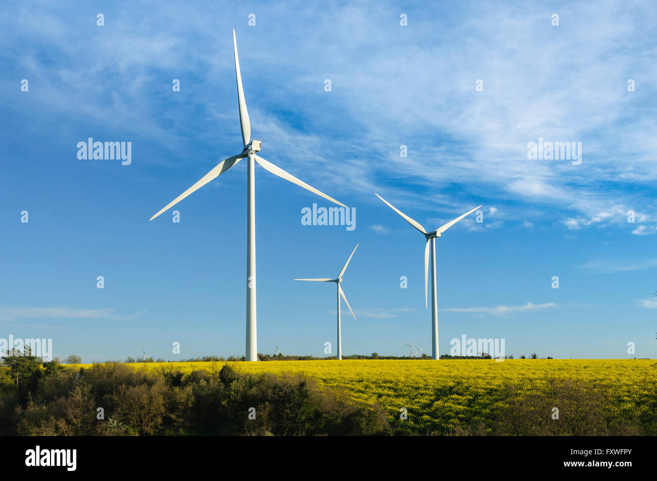 Wind turbines in a field and a blue sky with some clouds at background ...