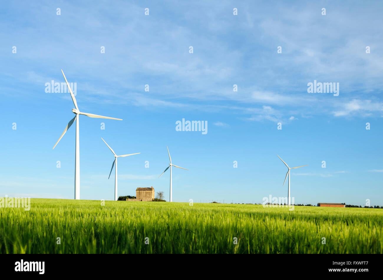Wind turbines in a field and a blue sky with some clouds at background ...