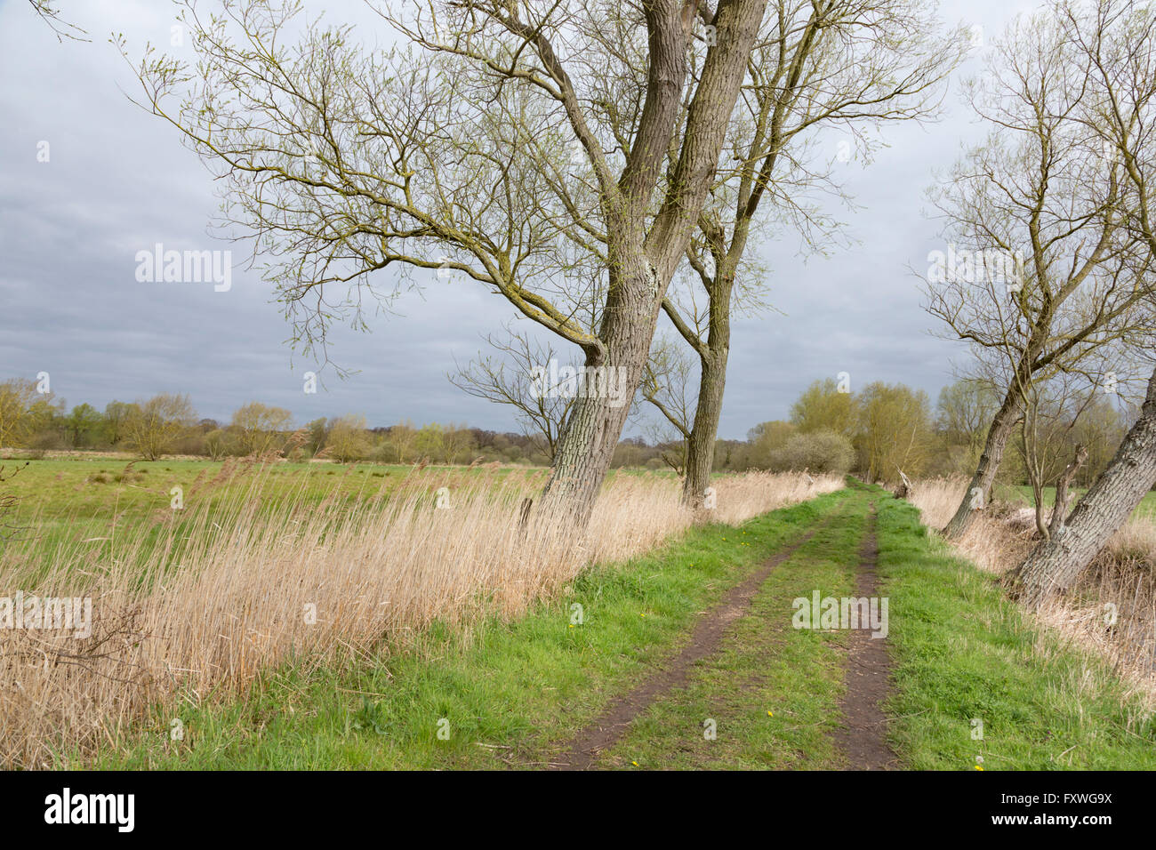 Beccles marshes hires stock photography and images Alamy