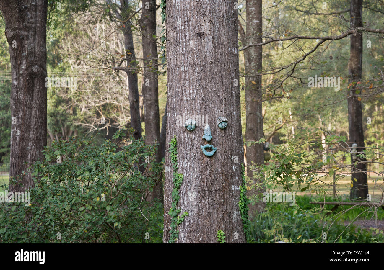 Humorous face attached to a tree. Stock Photo