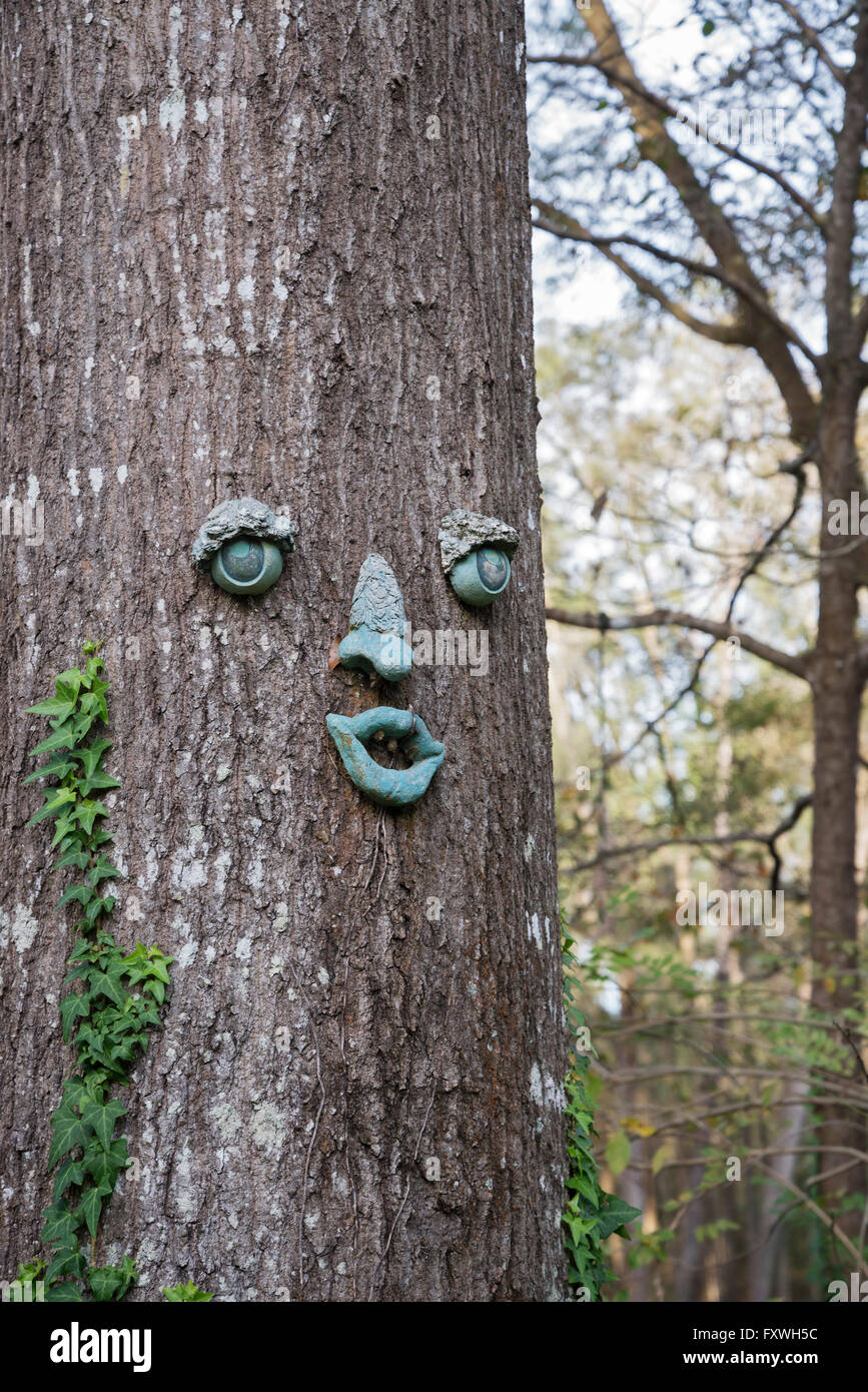 Humorous face attached to a tree. Stock Photo