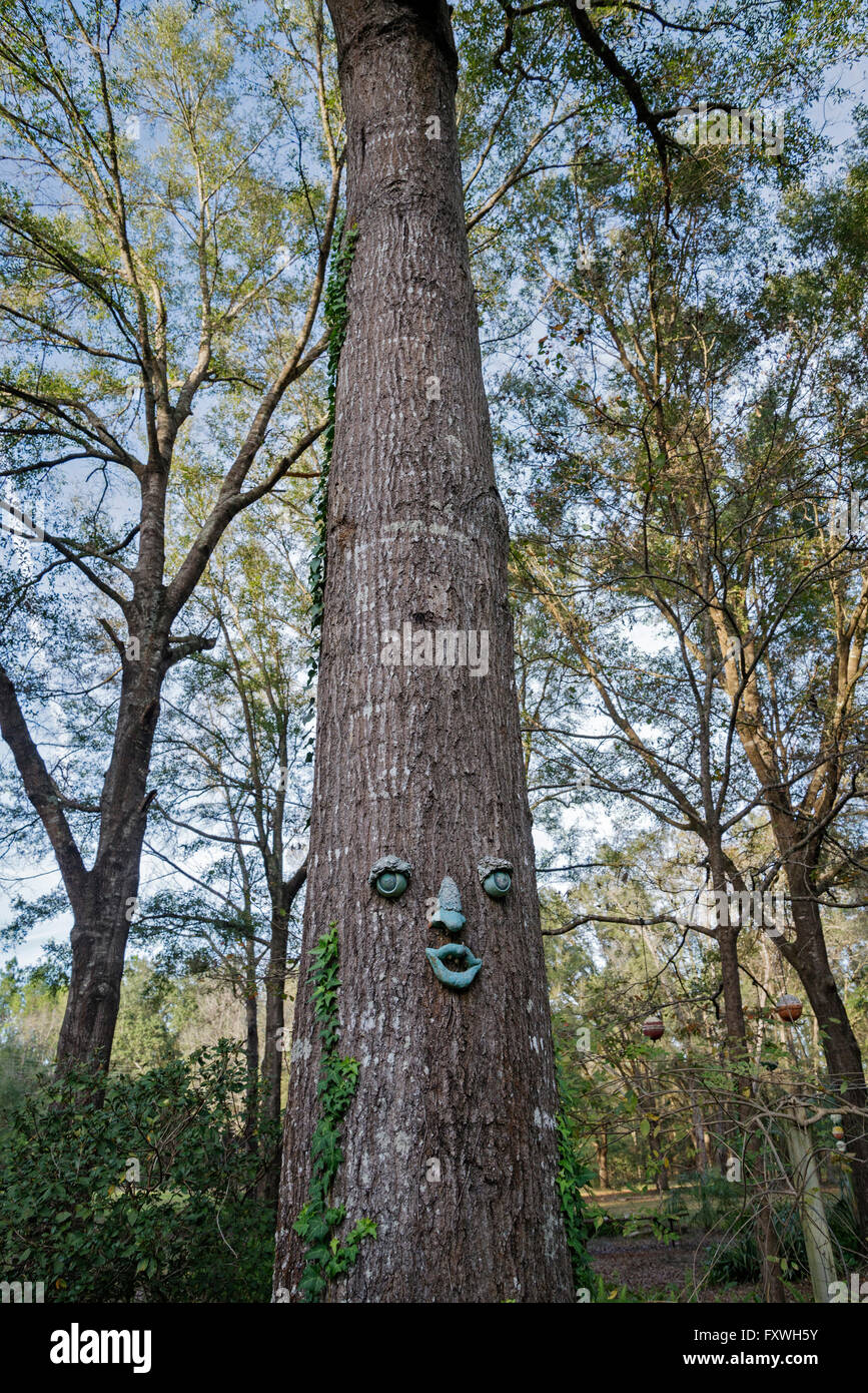 Humorous face attached to a tree. Stock Photo