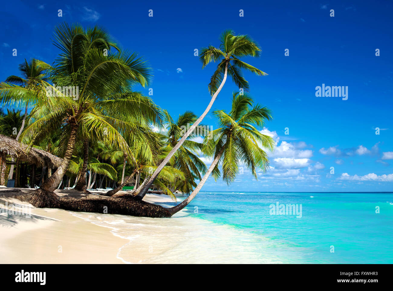 Tropical beach in caribbean sea, Saona island, Dominican Republic Stock Photo
