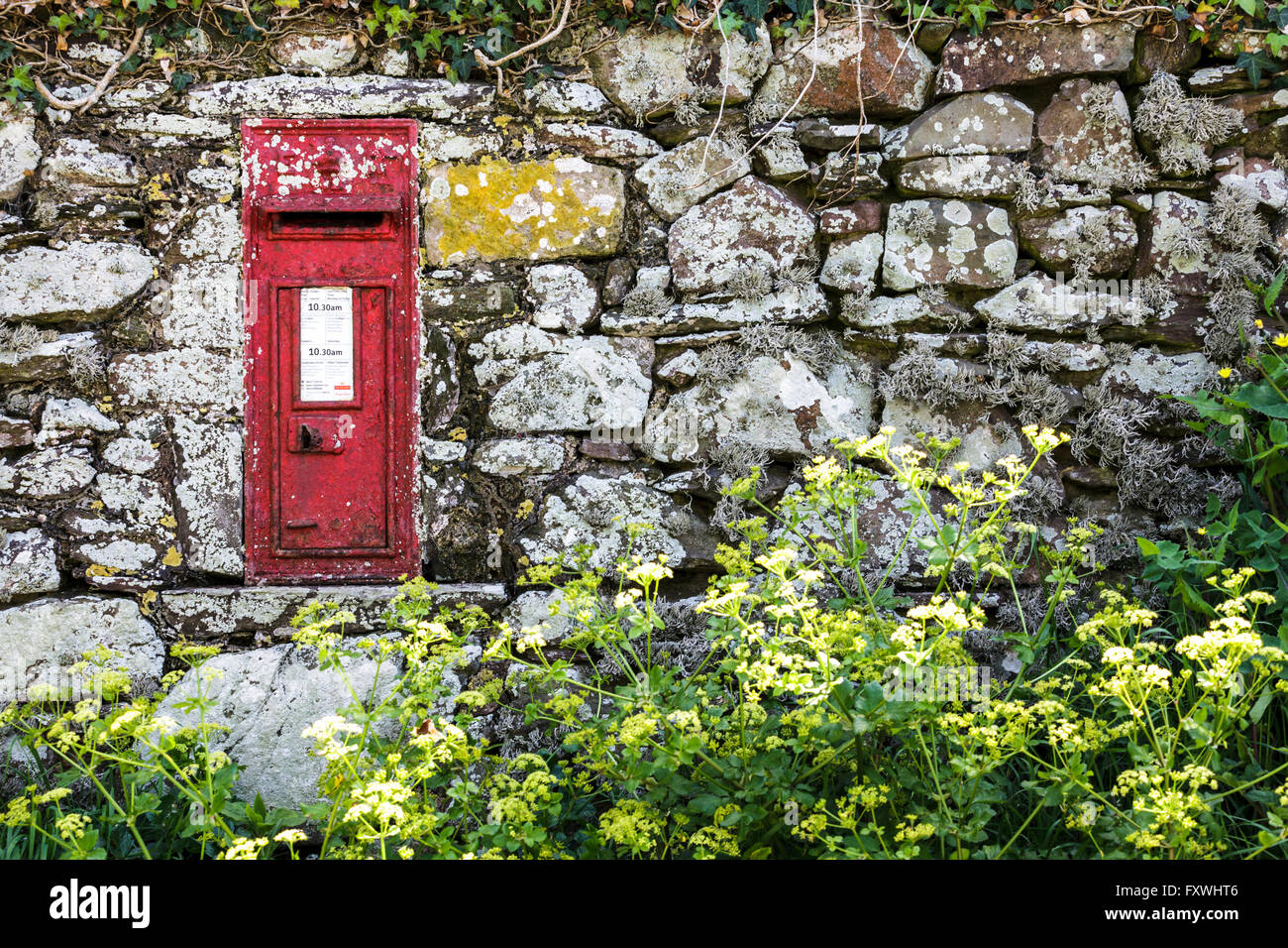 Red post box, St. Justinian's, Pembrokeshire, Wales UK Stock Photo