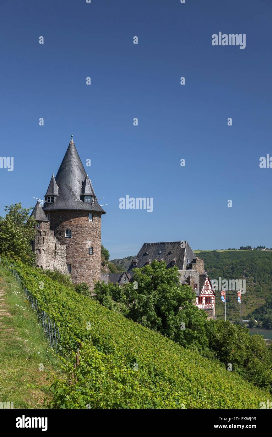 Blick auf Burg Stahleck und die Weinberge oberhalb von Bacharach, Rhein Stock Photo