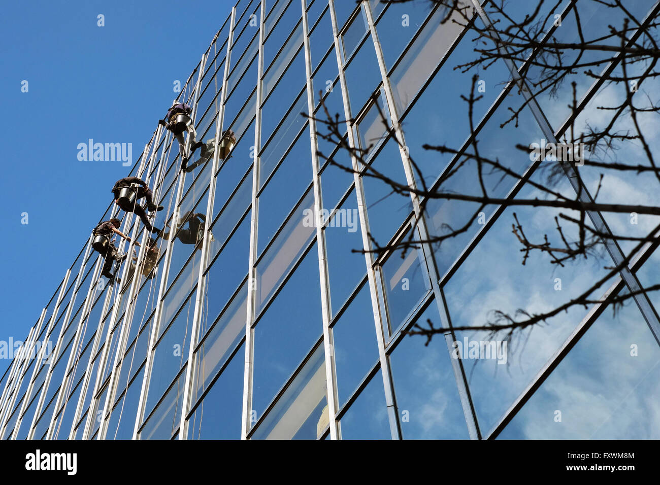 London, England, UK; 18th April, 2016. Window cleaners abseil down an office block window on the Euston Road in London, on a beautiful bright spring morning in the capital. Credit:  Andrew Lockie/Alamy Live News Stock Photo