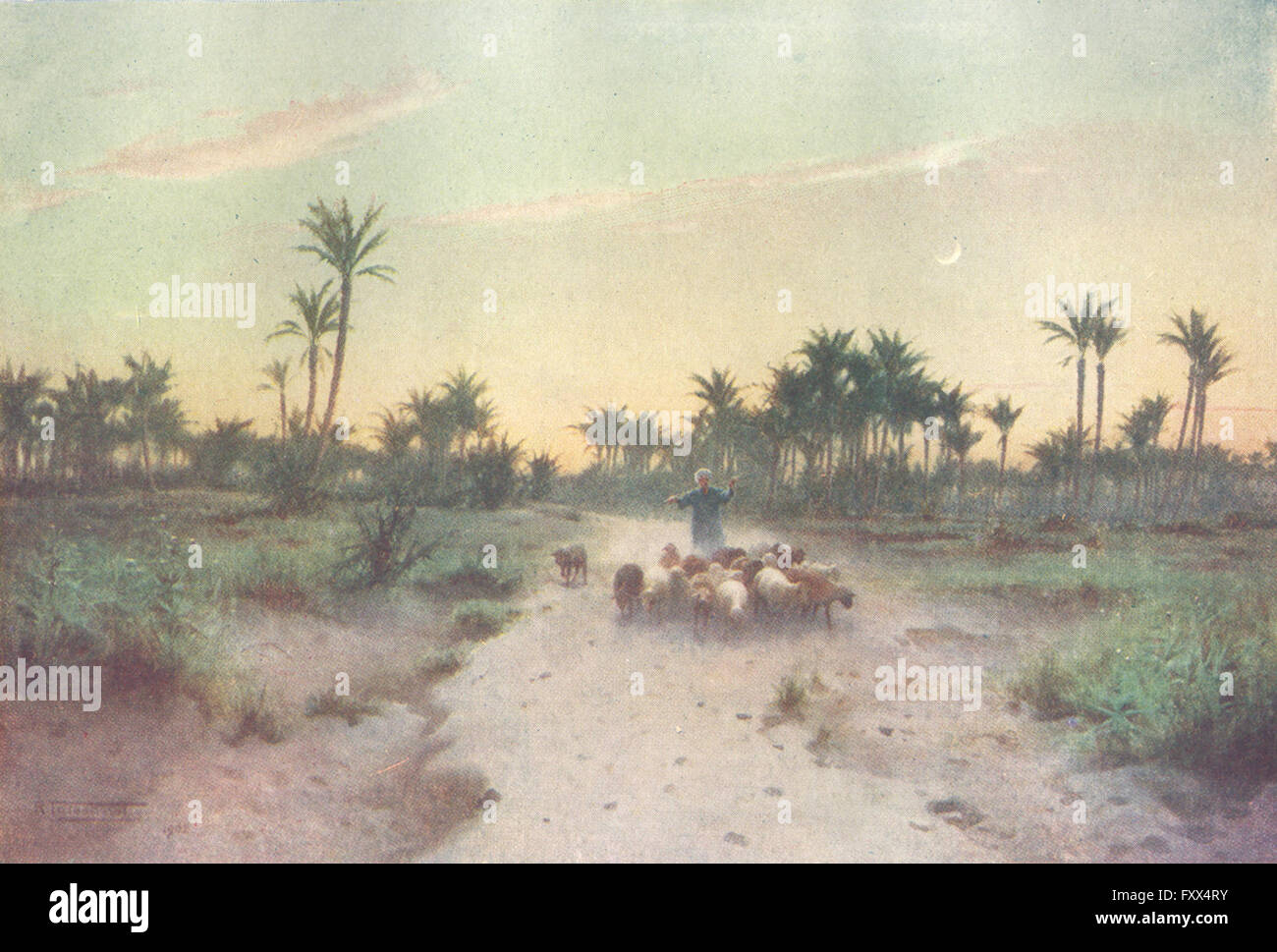 EGYPT Land of GoshenEvening, antique print 1912 Stock Photo Alamy