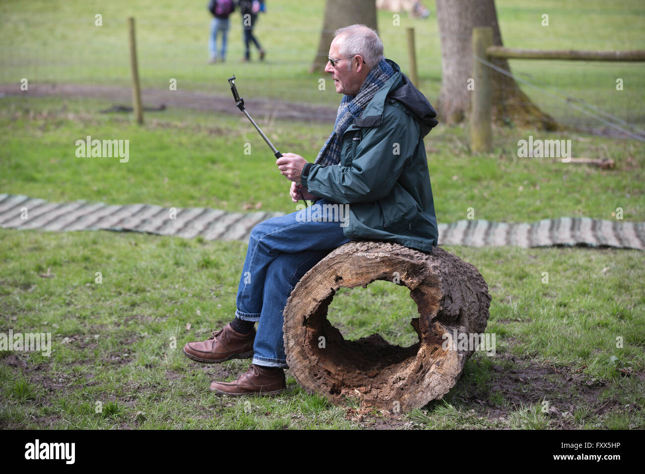 Pensioner using his smartphone on a selfie-stick outdoors at Hatchlands Park, Surrey, England, UK Stock Photo