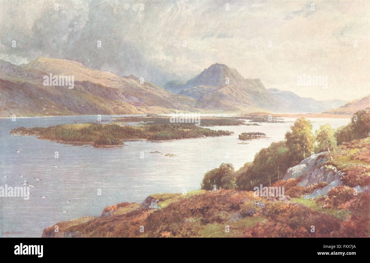 SCOTLAND: Isles of Loch Maree, Ross-shire, antique print 1904 Stock Photo