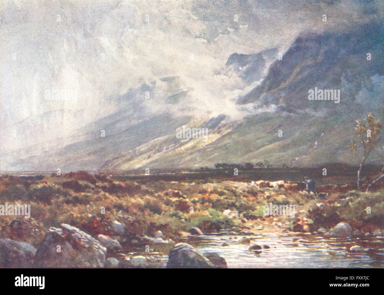 SCOTLAND: Moor & Mountain, Ross-shire, antique print 1904 Stock Photo