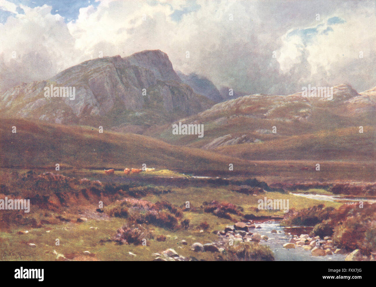 SCOTLAND: Crags Poolewe, Ross-shire, antique print 1904 Stock Photo