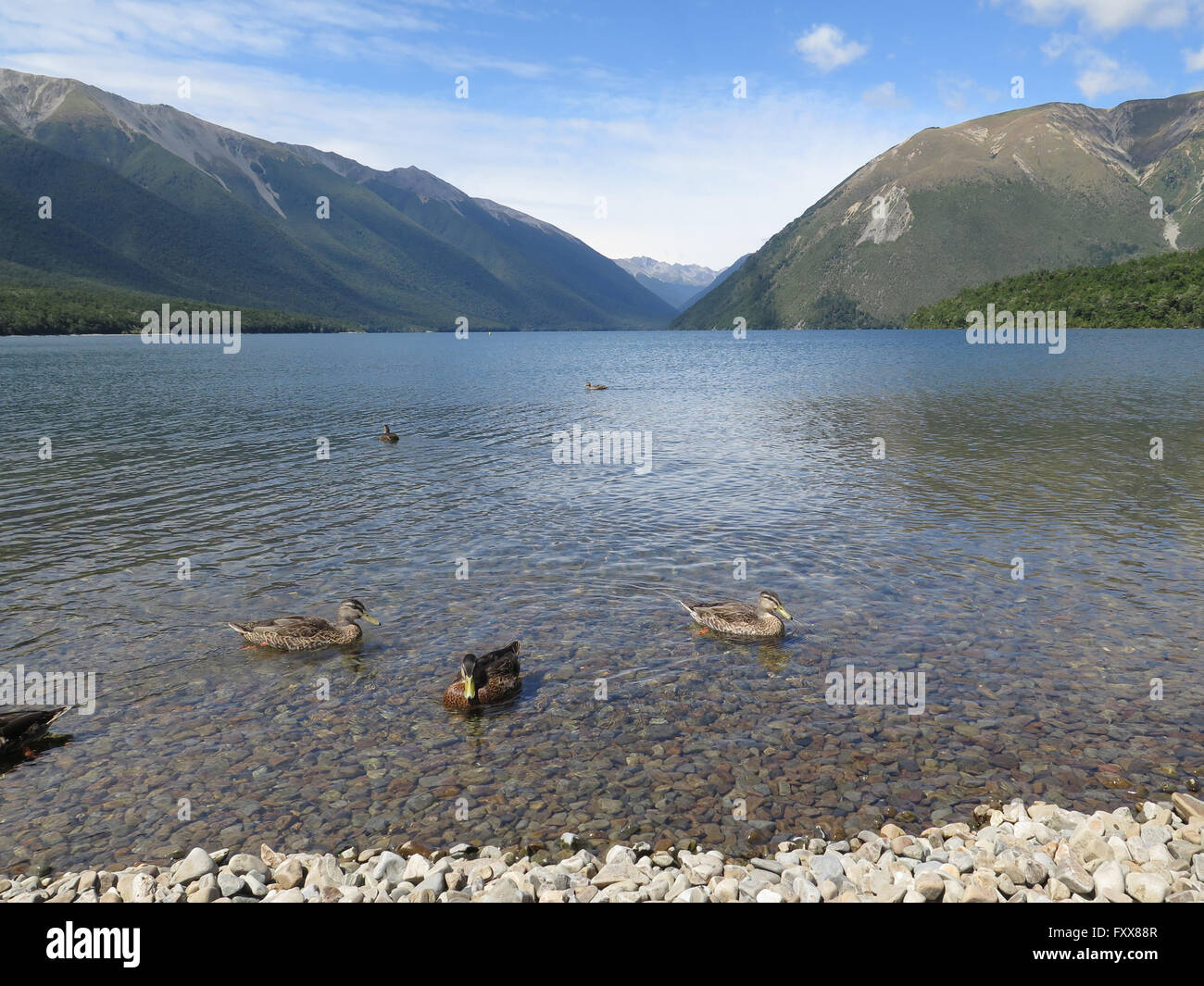 Lake Rotoiti, Nelson Lakes National Park, New Zealand Stock Photo