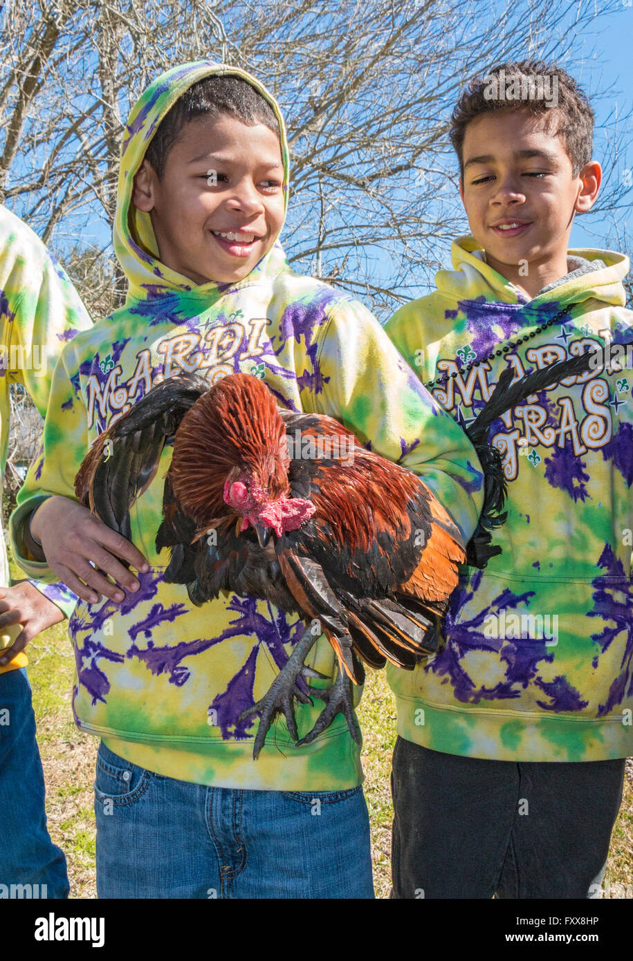 Victorious young boy chicken catcher during the traditional Chicken Run for  Lake Charles family friendly Mardi Gras Stock Photo - Alamy