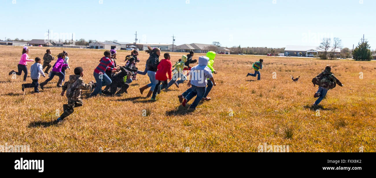 Kids running after rooster during the traditional Chicken Run for Lake