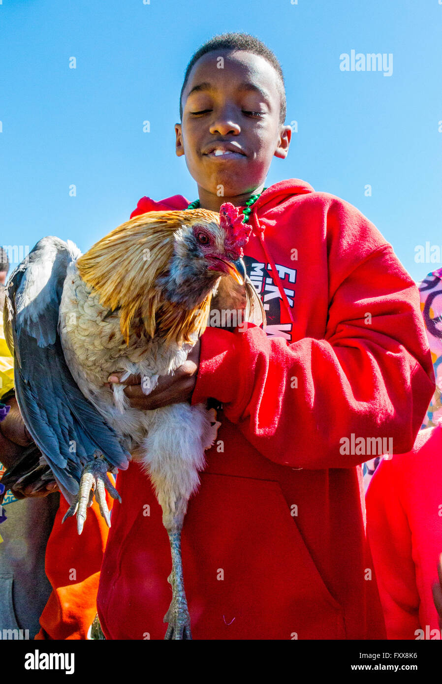 Victorious teen boy chicken catcher during the traditional Chicken Run for Lake Charles family friendly Mardi Gras. Children in Stock Photo