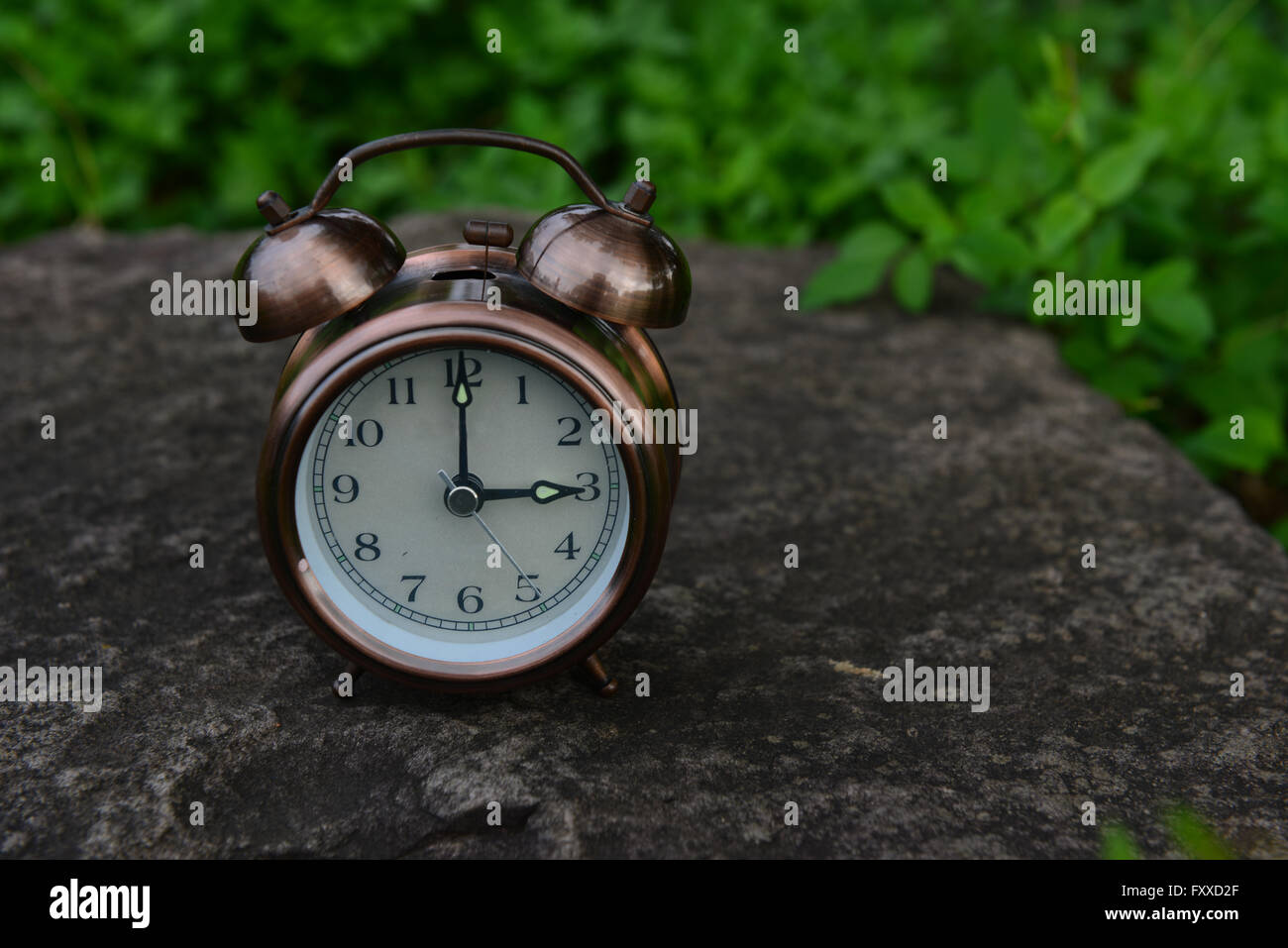 record our life Stock Photo - Alamy