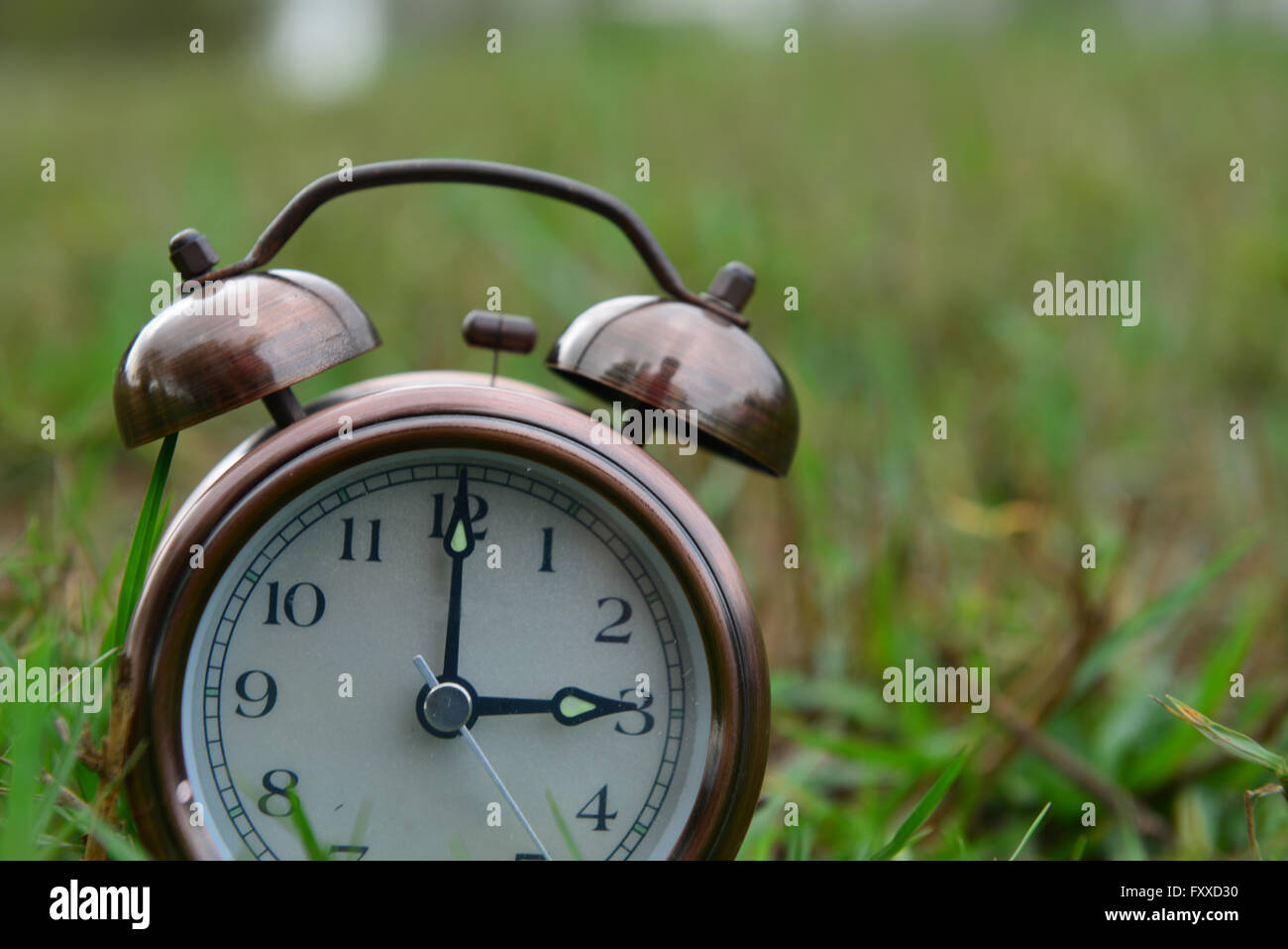 record our life Stock Photo - Alamy