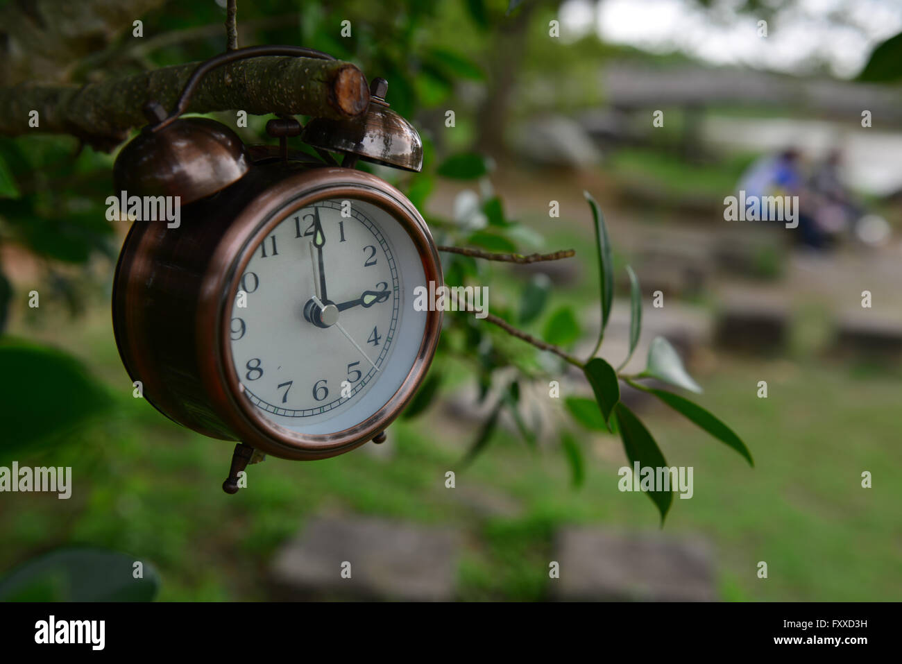 record our life Stock Photo - Alamy
