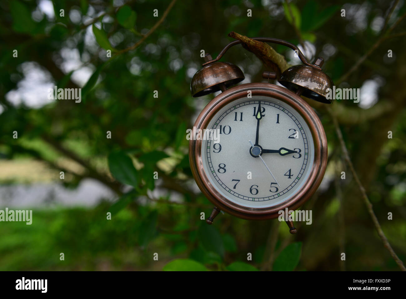 record our life Stock Photo - Alamy