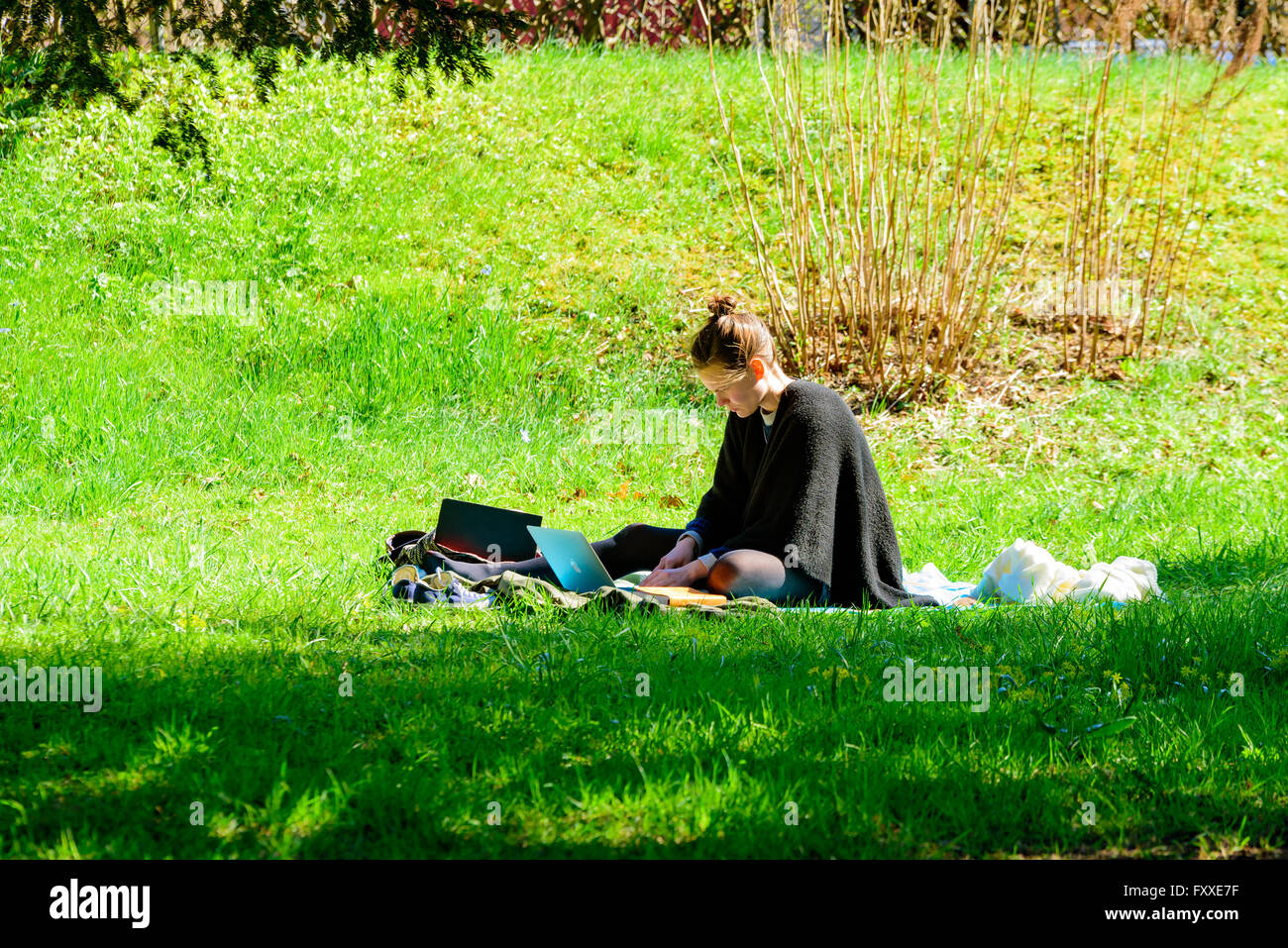 Lund, Sweden - April 11, 2016: One young adult woman sitting on a blanket in the grass in the public botanical garden, studying Stock Photo
