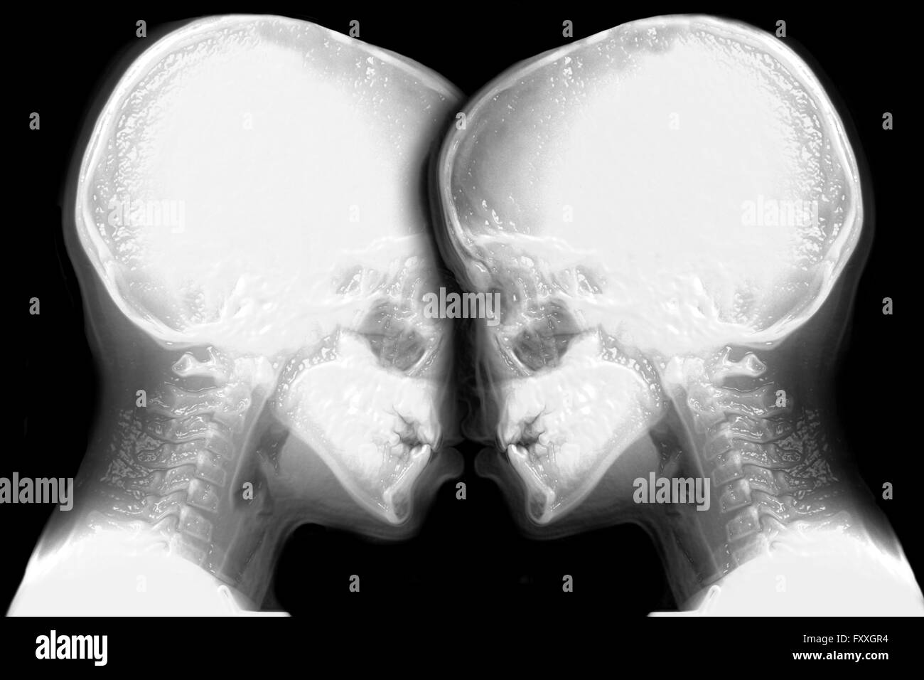 Skeleton face hires stock photography and images Alamy