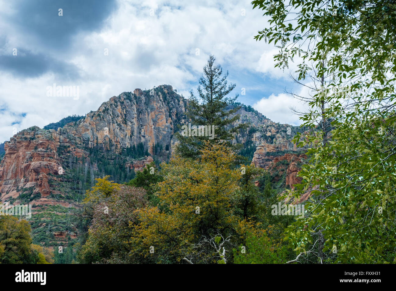 Sedona Arizona a Mystic Land Stock Photo Alamy