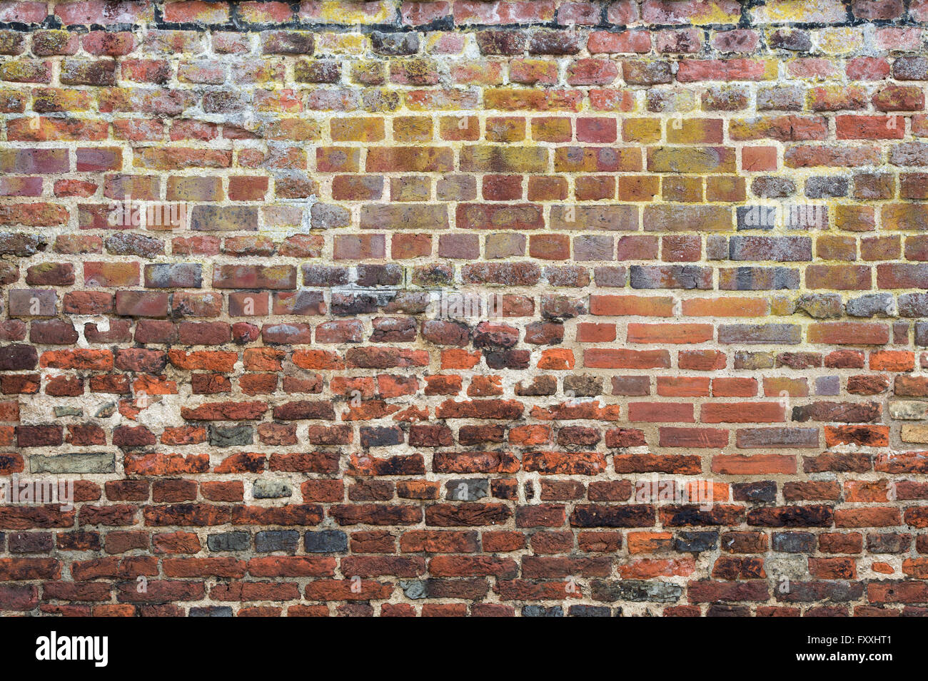 Colourful textured Brick Wall Stock Photo Alamy