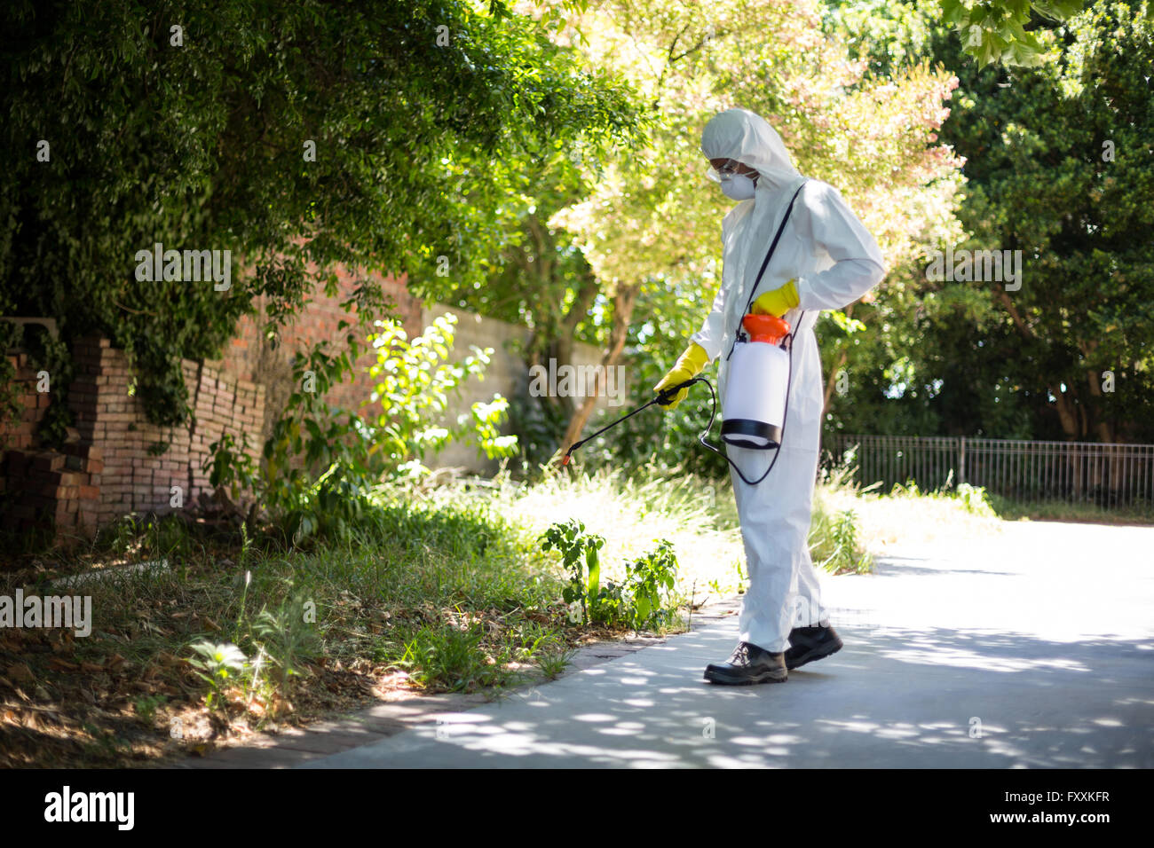 Man spraying insecticide on plants Stock Photo Alamy