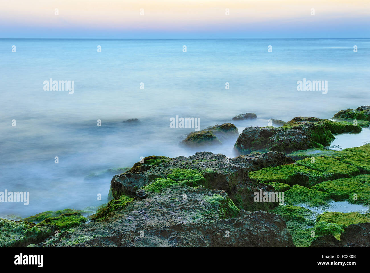 Sunset at Punta Secca Beach with rocks and green seaweeds in Santa Croce Camerina, Sicily, Italy Stock Photo