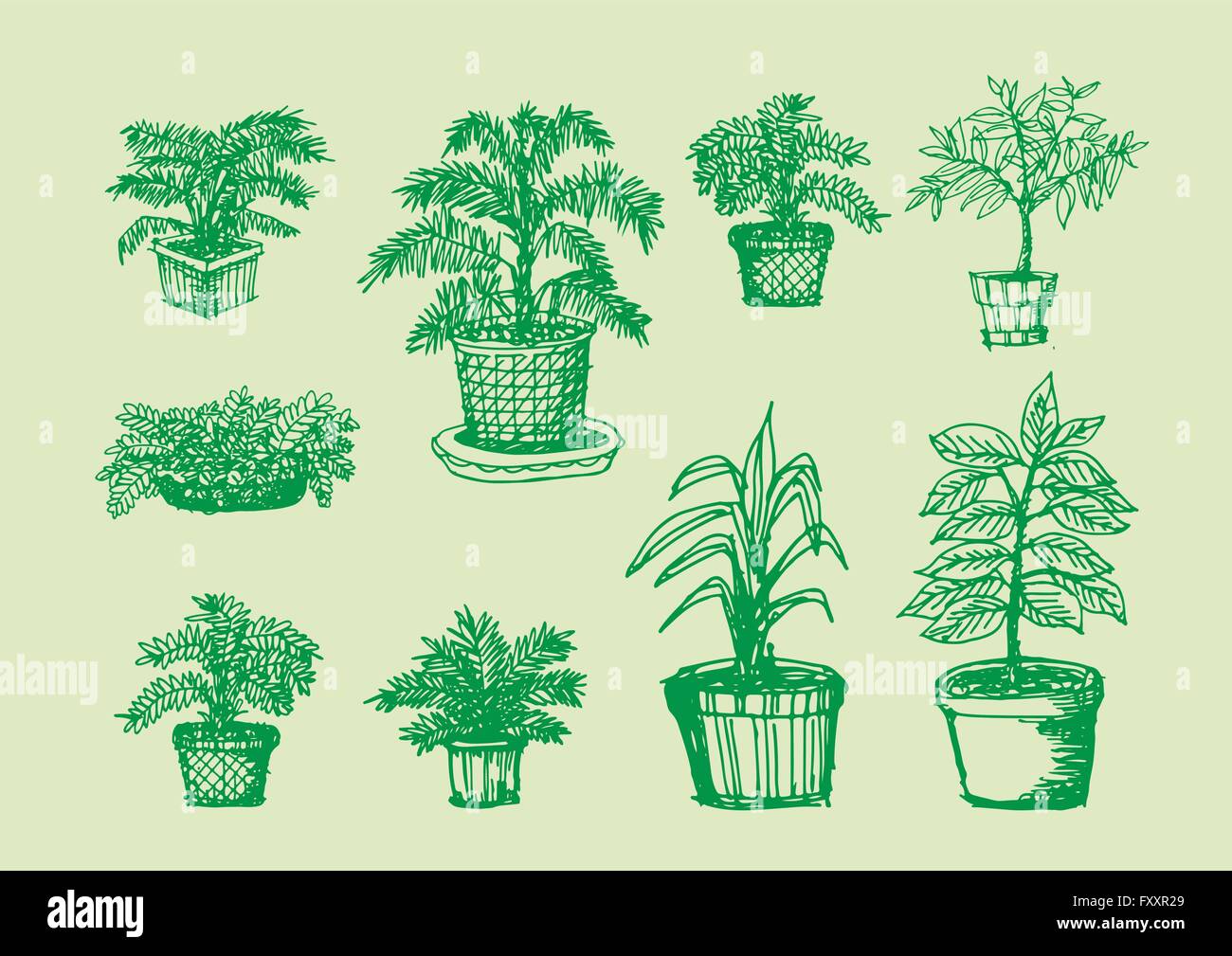 Topiary tree flowers Stock Vector Images - Alamy