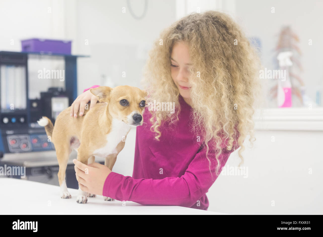 Girl playing with her pet dog Stock Photo - Alamy