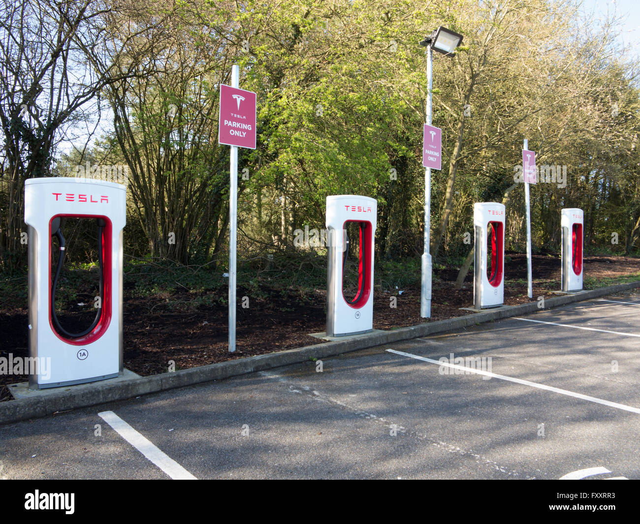 Tesla electric car charging points on M11 services Birchanger Green Stock Photo