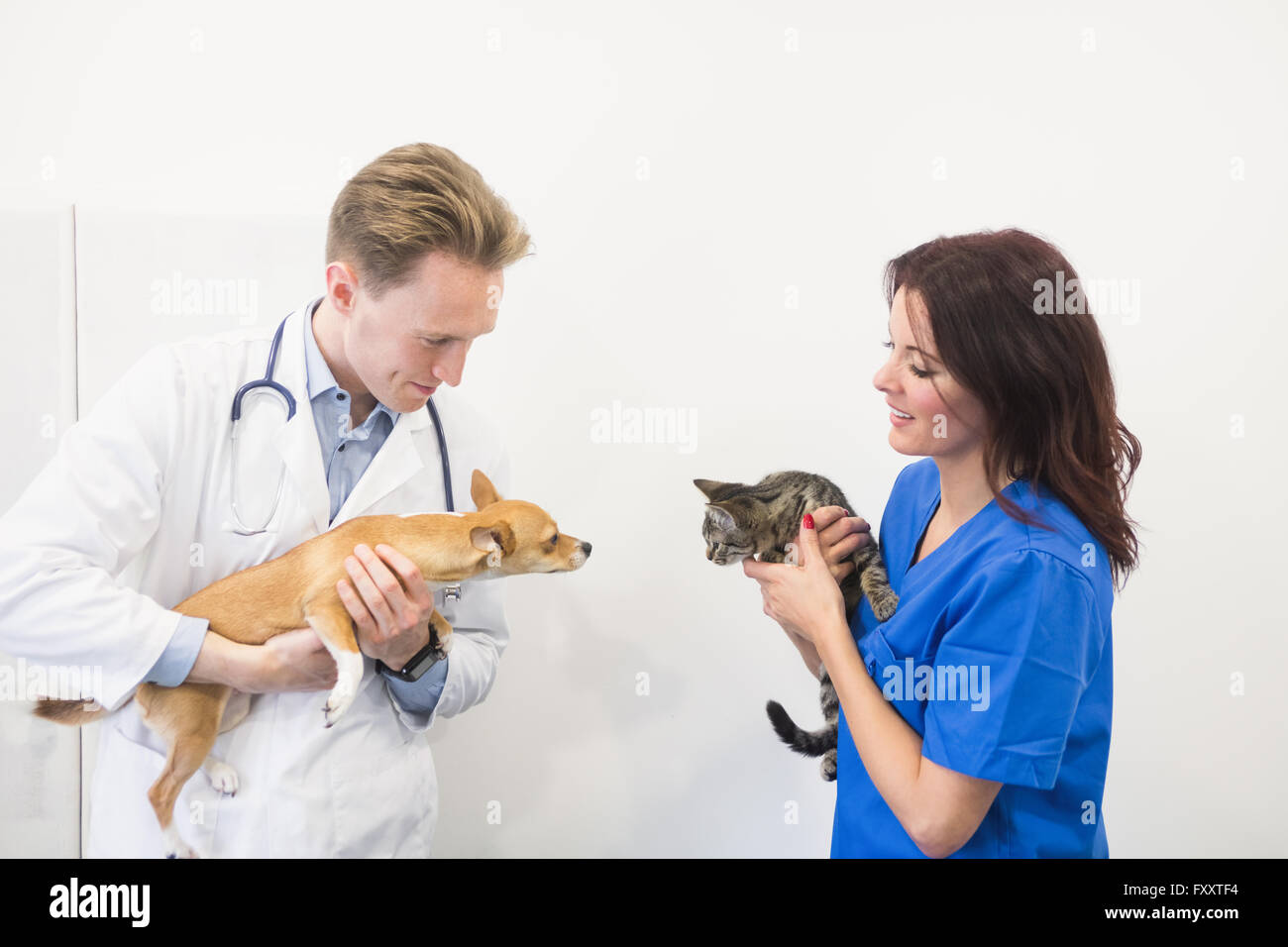 Veterinarians with dog and kitten Stock Photo
