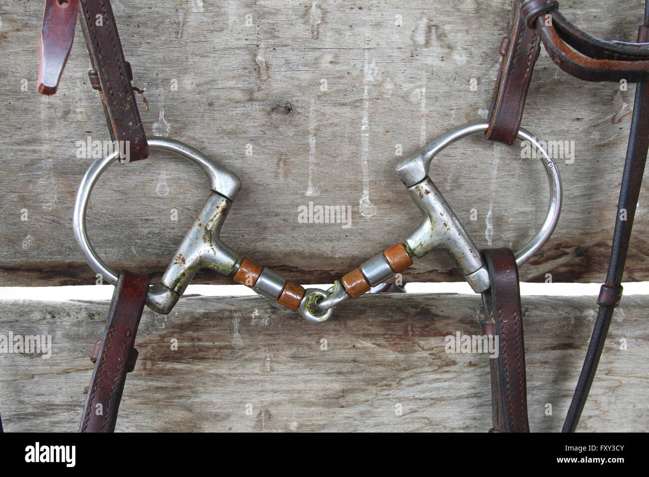 Closeup of horse Dring snaffle bit with bridle straps Stock Photo Alamy