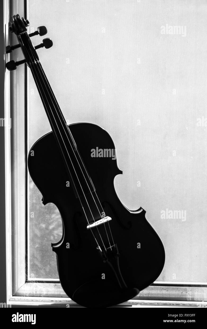 A viola in high contrast against a window Stock Photo