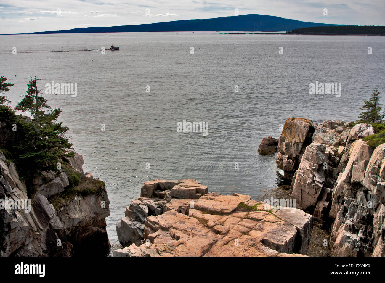 State of Maine, Schoodic Peninsula, Acadia National Park, lobster