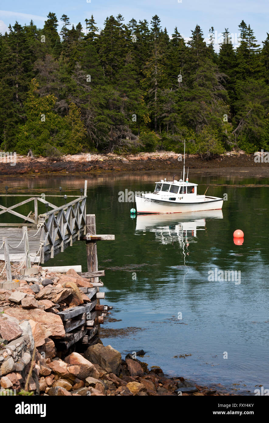 State of Maine, Schoodic Peninsula, Acadia National Park. Lobster man's