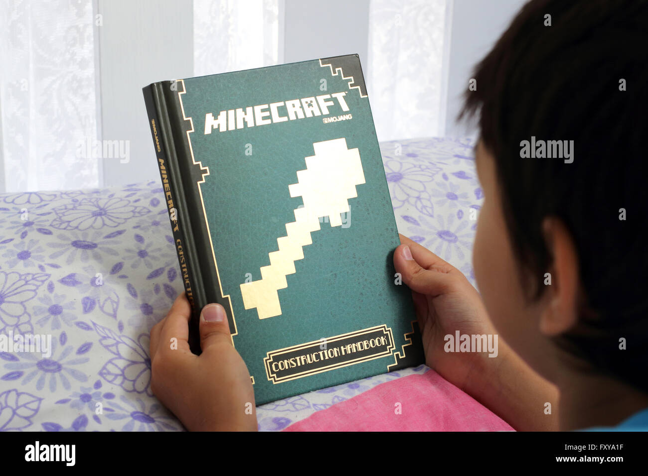 Minecraft Book Stock Photos & Minecraft Book Stock Images Alamy