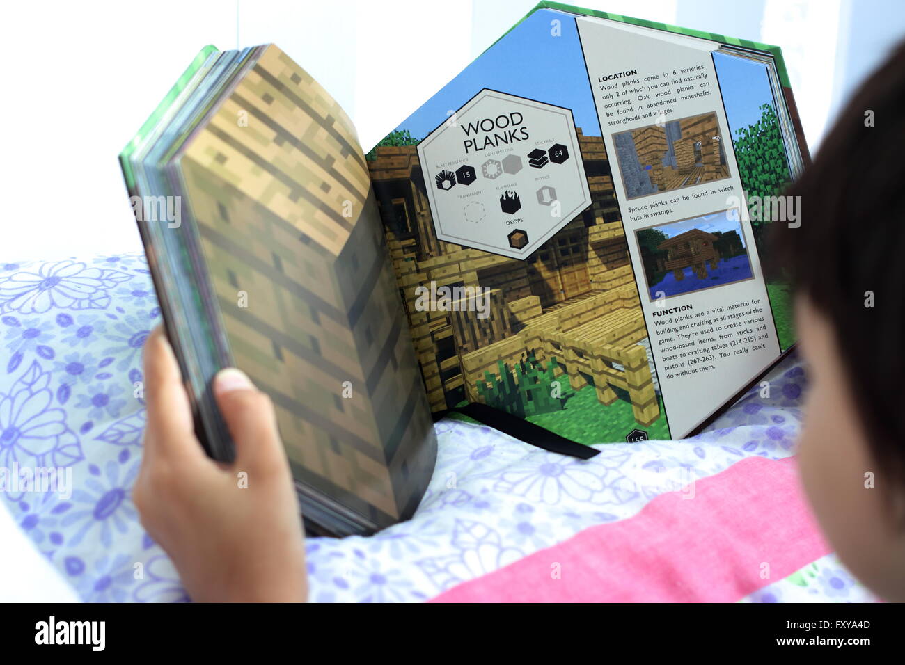 Young boy reading Minecraft book Stock Photo