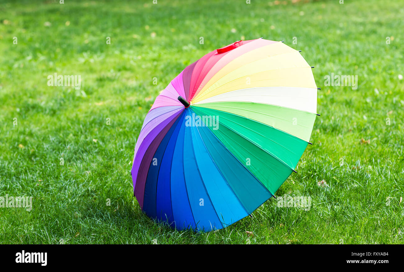 Colorful umbrella on a grass Stock Photo Alamy