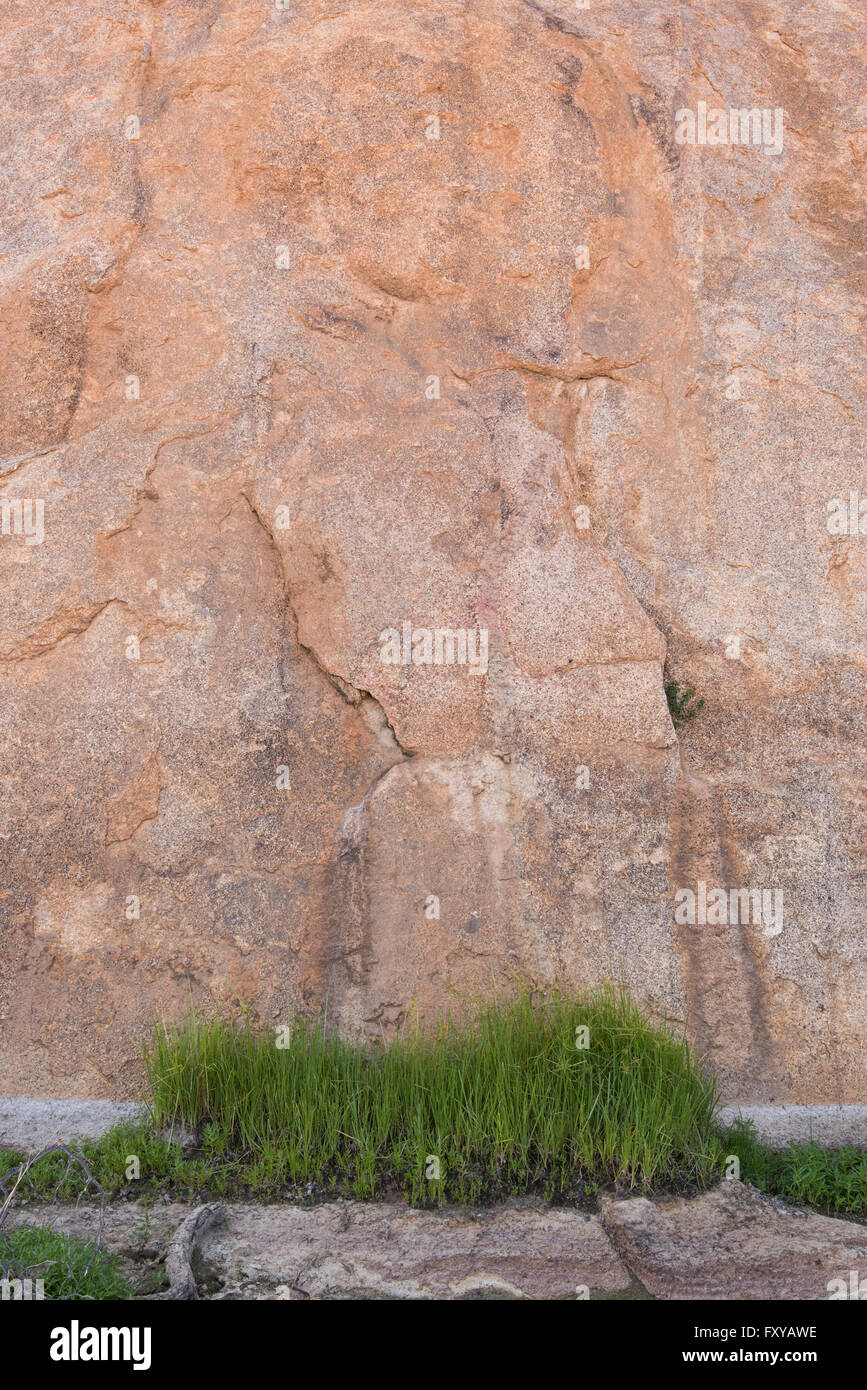 Grass patch in front of large rock wall Stock Photo