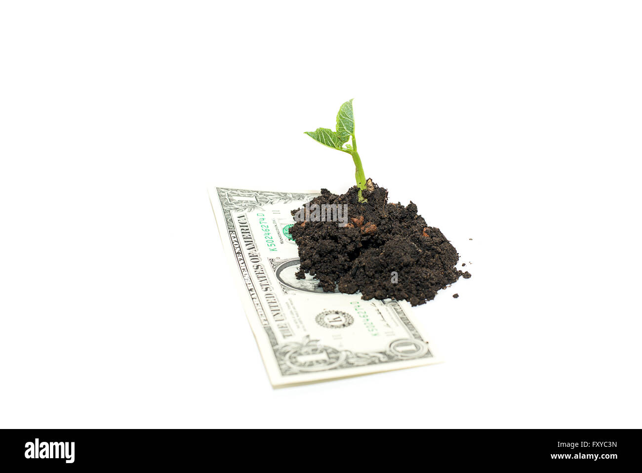 Green plants sprout up from the pile of soil on the banknote Stock Photo