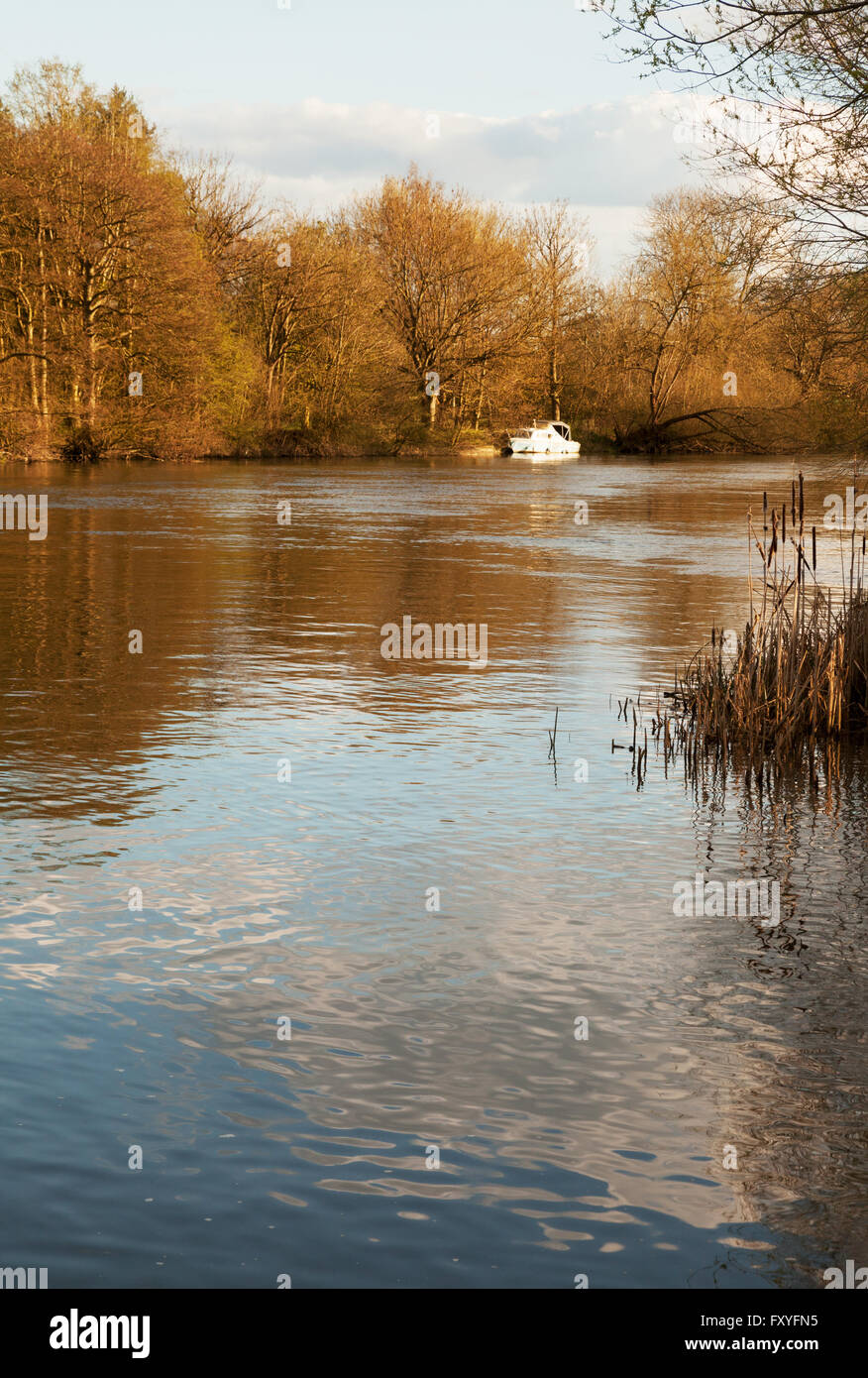 Peaceful english countryside scene on the River Thames at Wallingford, Oxfordshire England UK Stock Photo
