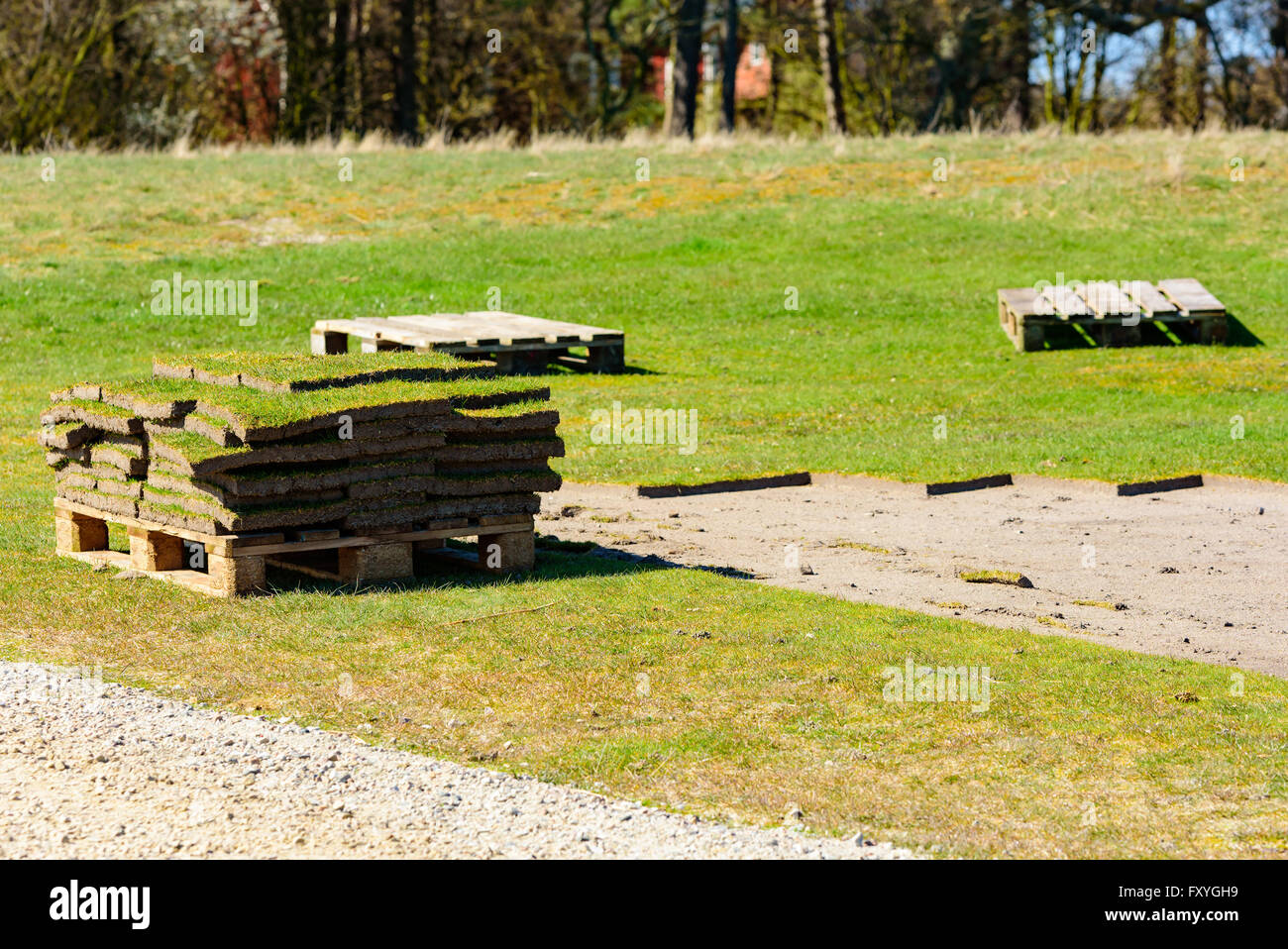 Grass removal from a golf course in spring. Square patches of grass is placed on pallets to be used on other place or storage wh Stock Photo