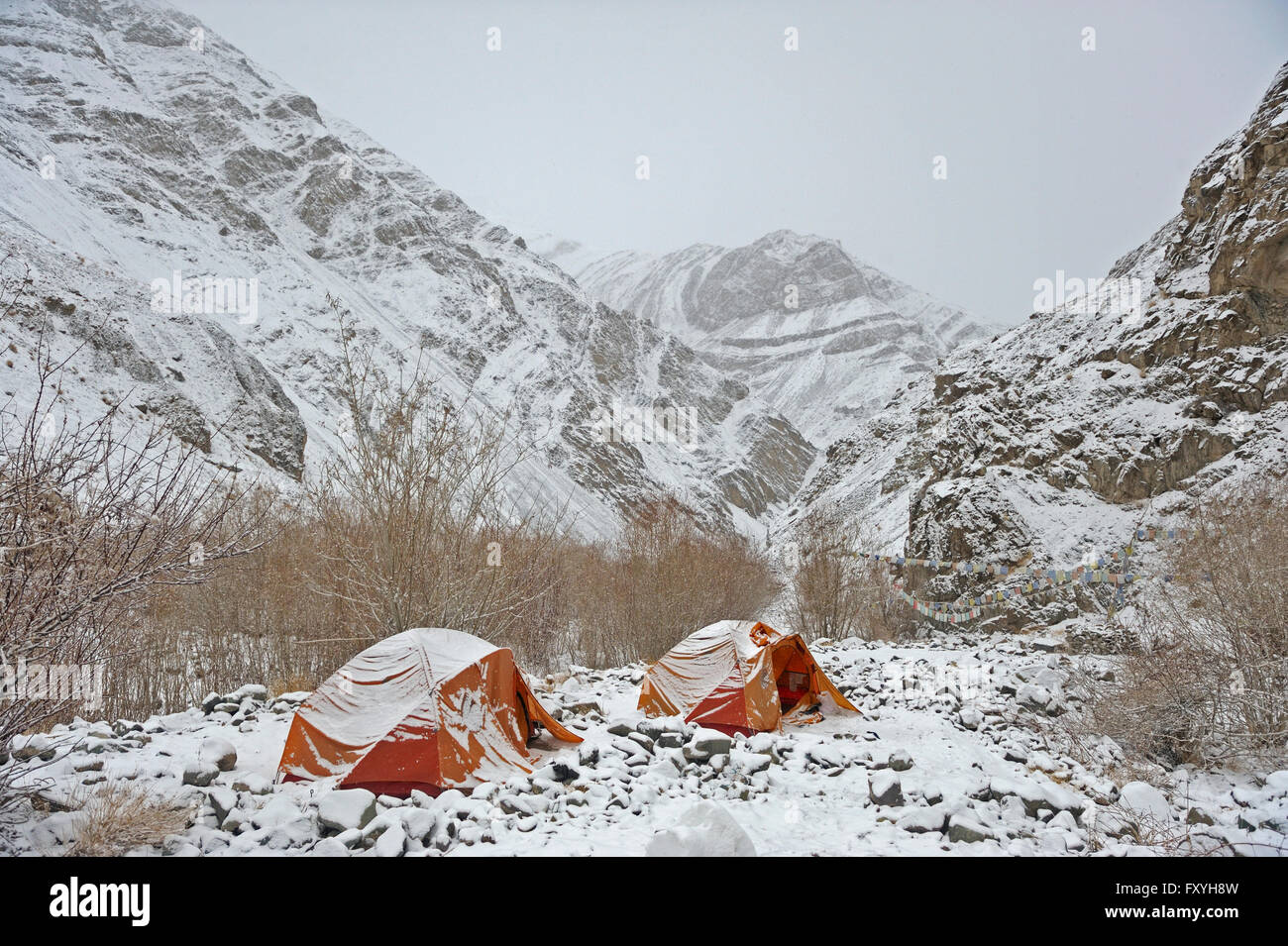 Hemis high altitude national park hi-res stock photography and images ...