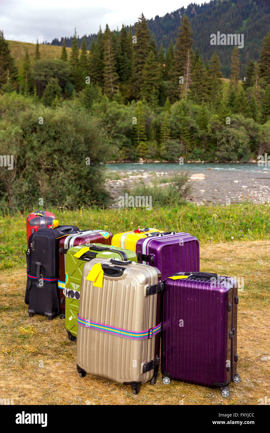 Luggage bags hi-res stock photography and images - Page 14 - Alamy